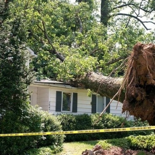 Storm Damage Repair Services in Cincinnati, OH